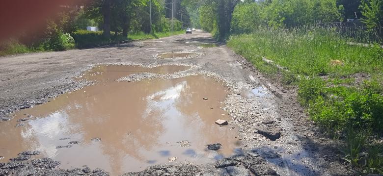 Img default alt hy