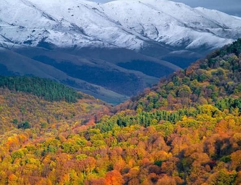 Img default alt hy