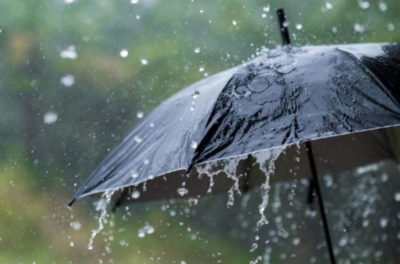 Img default alt hy