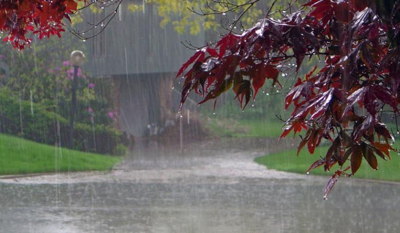 Img default alt hy