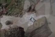 Img default alt hy