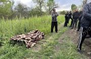 Img default alt hy