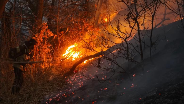 Img default alt hy