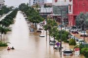 Img default alt hy