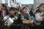 Img default alt hy