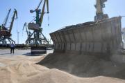 Img default alt hy