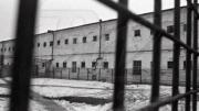 Img default alt hy