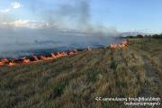 Img default alt hy