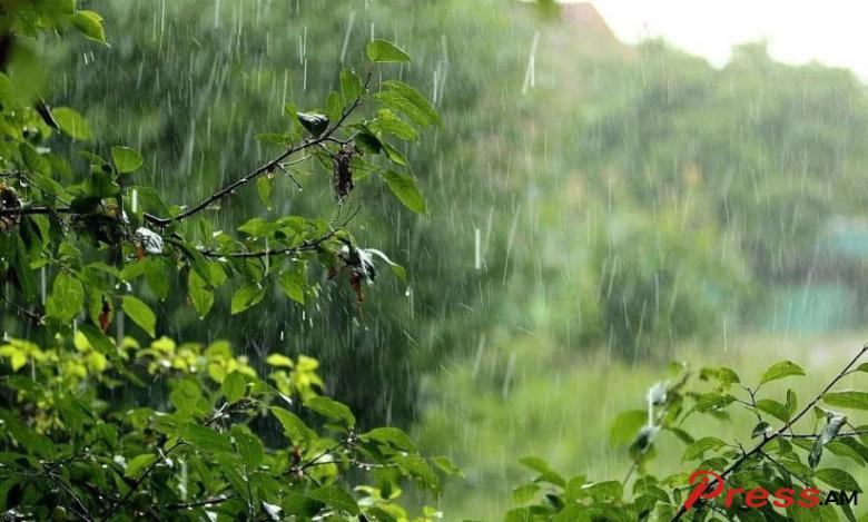 Img default alt hy