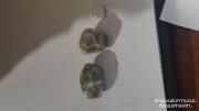 Img default alt hy