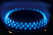 Img default alt hy