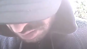 Img default alt hy