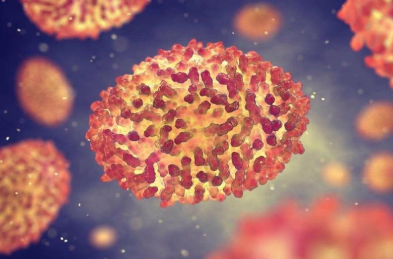 Img default alt hy