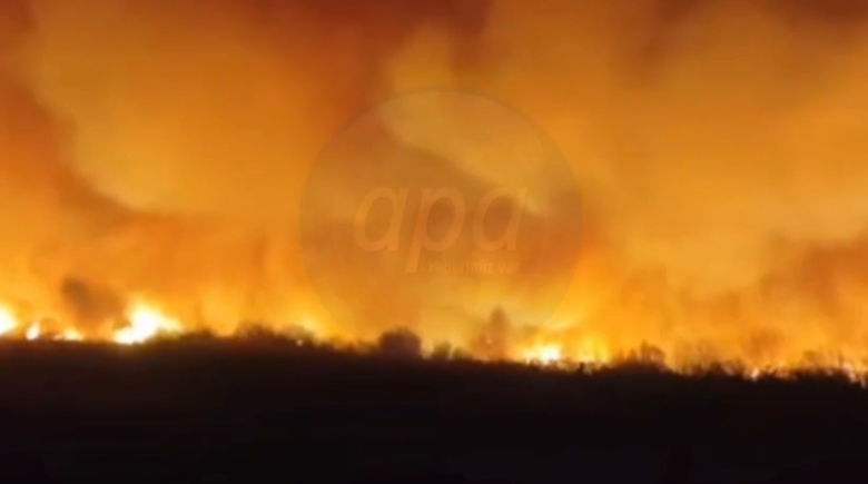 Img default alt hy