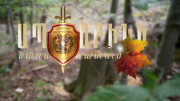 Img default alt hy